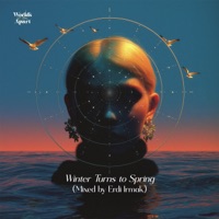 Winter Turns to Spring (Mixed by Erdi Irmak) [DJ Mix] - Erdi Irmak & Worlds Apart