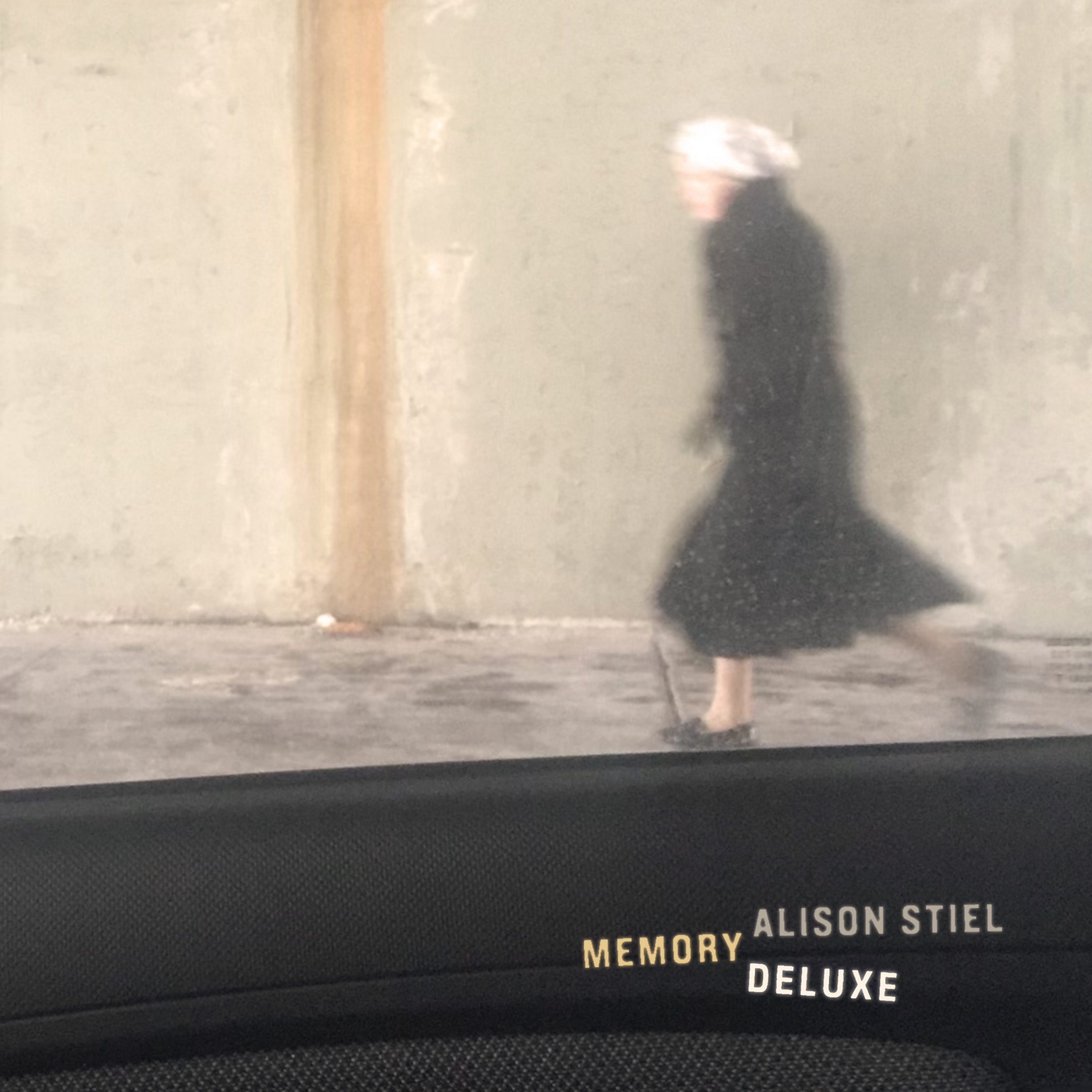 ALISON STIEL - Somewhere In New Hampshire