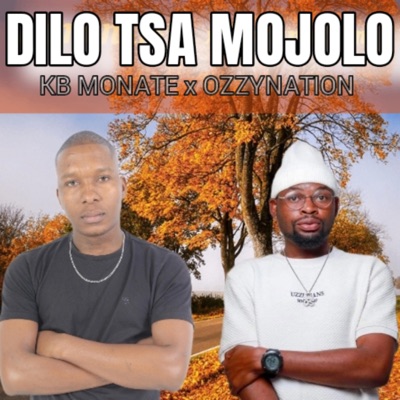 Dilo tsa Mojolo - Single