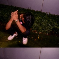 Whisky - Single - puffy