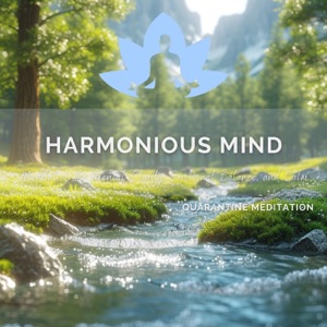 Harmonious Mind - Meditation for Mental Clarity, Emotional Balance, and Calm