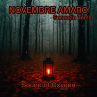 Novembre Amaro (Theme Two) - Single - Sound of Oxygen