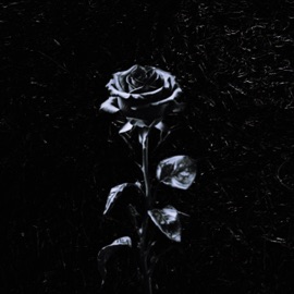 Want Me Dead VonnDough