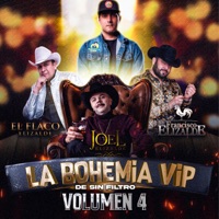 La Bohemia VIP De Sin Filtro, Vol 4 (En Vivo) [feat. El Flaco Elizalde] - EP - La Bohemia Vip De Sin Filtro, Francisco el Gallo Elizalde & Joel Elizalde