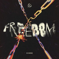 Freedom - Single - G DOM