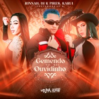 Gemendo no Seu Ouvidinho (feat. TavinhoBeat's) - Single - Rinnah, DJ K Pires & Karui
