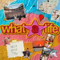 What A Life — FISHER