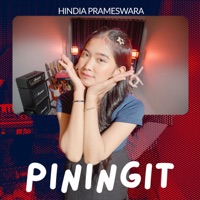 Album cover for PININGIT by Hindia Prameswara