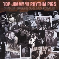 Top Jimmy And The Rhythm Pigs - Hole In My Pocket