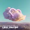 Tribbs, Sam Feldt & Andy Dust - Like You Do (feat. Dotter)