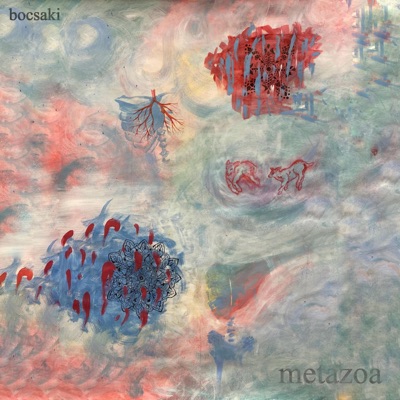 metazoa - Single