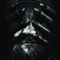 Blutengel - PS AI MUSIC lyrics