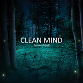 Clean Mind
