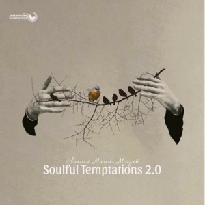 Soulful Temptations 2.0 - EP