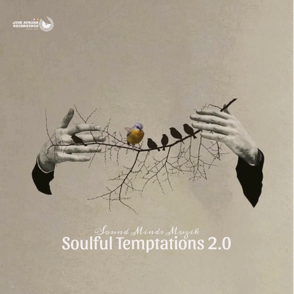 Soulful Temptations 2.0 - EP