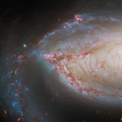 cdend - ฝากให้ใคร ฝากให้เขาอะป่าว