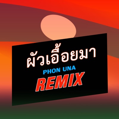 ผัวเอื้อยมา(REMIX) - Single