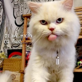 แค่...หายใจ ABSRD studio