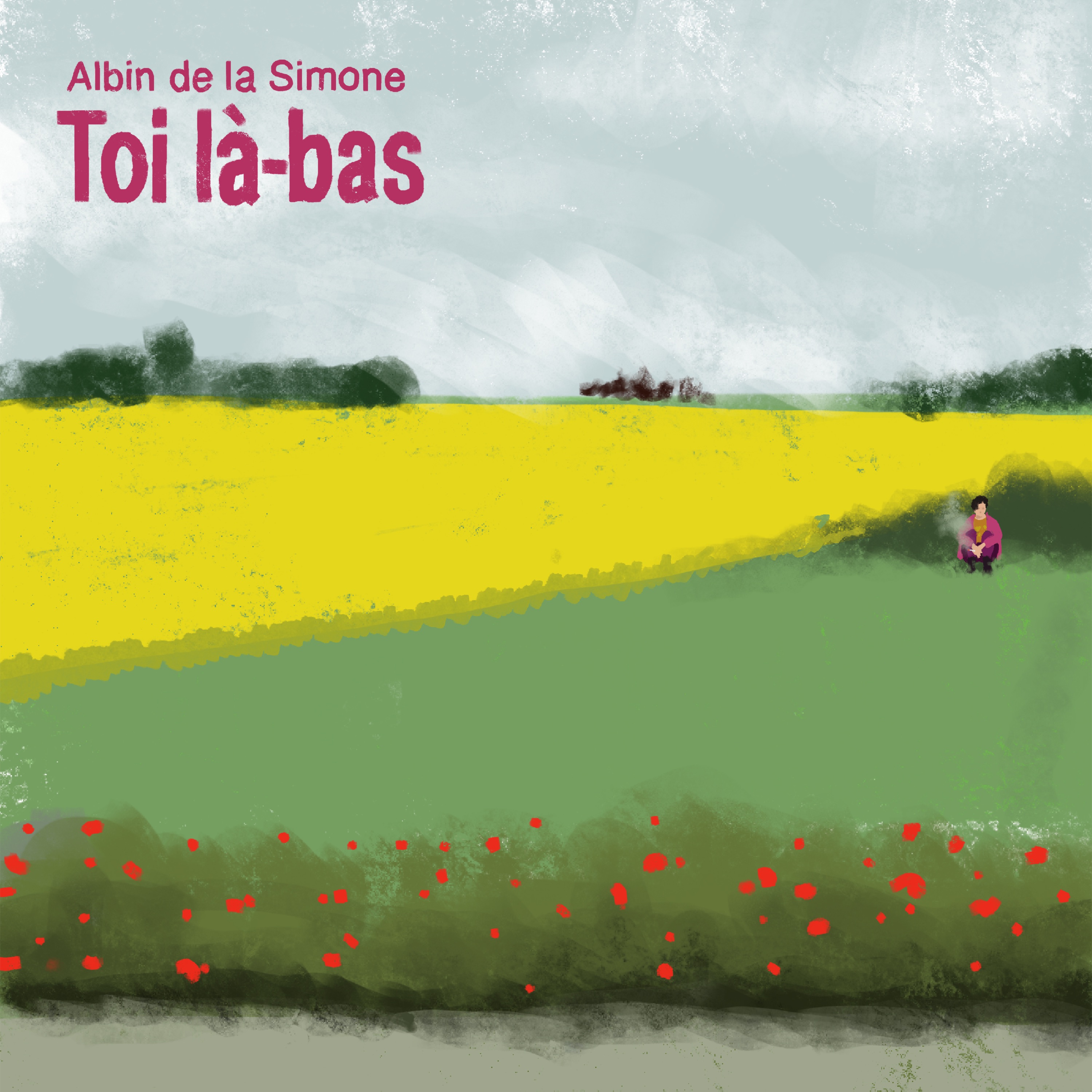 Albin de la Simone - Ma gueule
