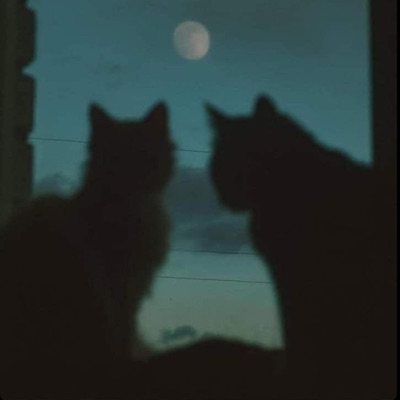 Trippin! (feat. ARson) - Single