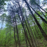 Fadeaway (feat. Drizzydior) - Single - S0n8sty