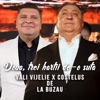 Doua, Trei Hartii De-O Suta (feat. Costelus de la Buzau)