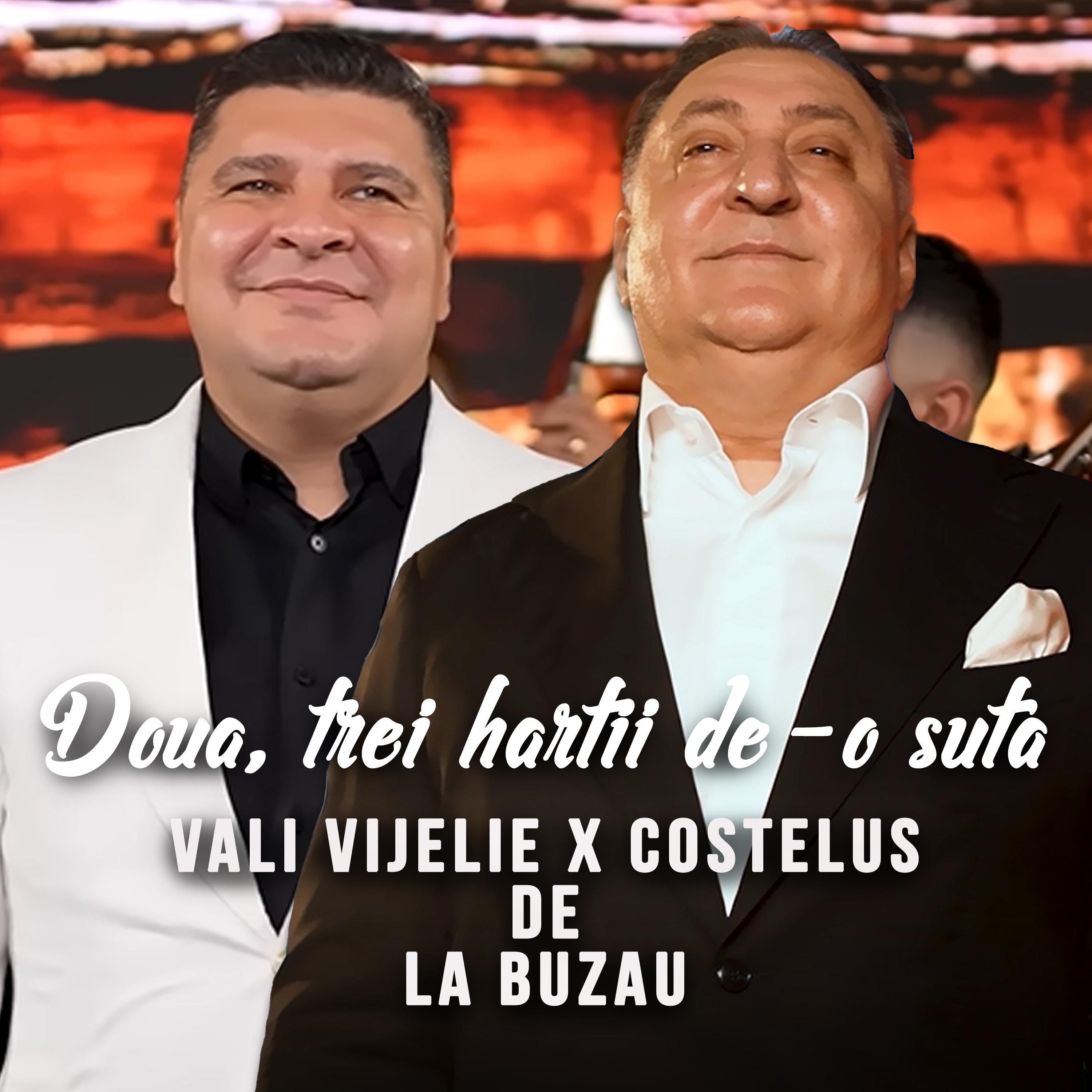Doua, Trei Hartii De-O Suta (feat. Costelus de la Buzau) - Single