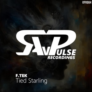 Tied Starling - Single