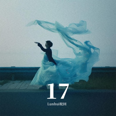 17 - Single