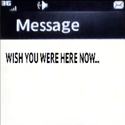 Wish You Were Here Now - Single
