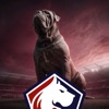 LOSC LILLE Chant LOSC LILLE (Allez Lille OSC) Chant LOSC LILLE (Allez Lille OSC) - Single