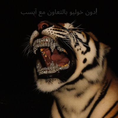 Don Juilo (feat. JaJaKaleb) - Single