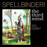 The Third Mind - Spellbinder (Tchad Blake Mix)
