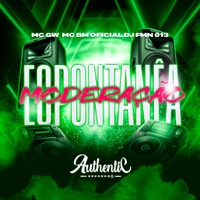 Espontânea Moderação (feat. MC GW & MC BM OFICIAL) - Single - DJ FMN 013
