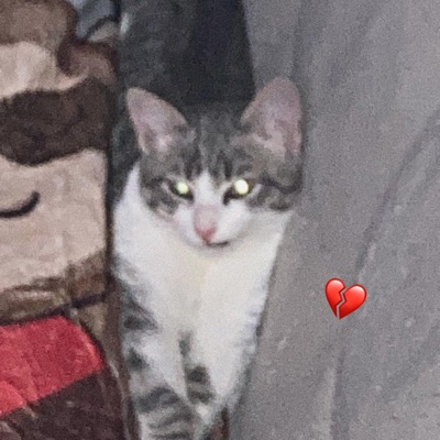 Ho (Hai) Il CuOre SpEzZaTo!!:( - Single