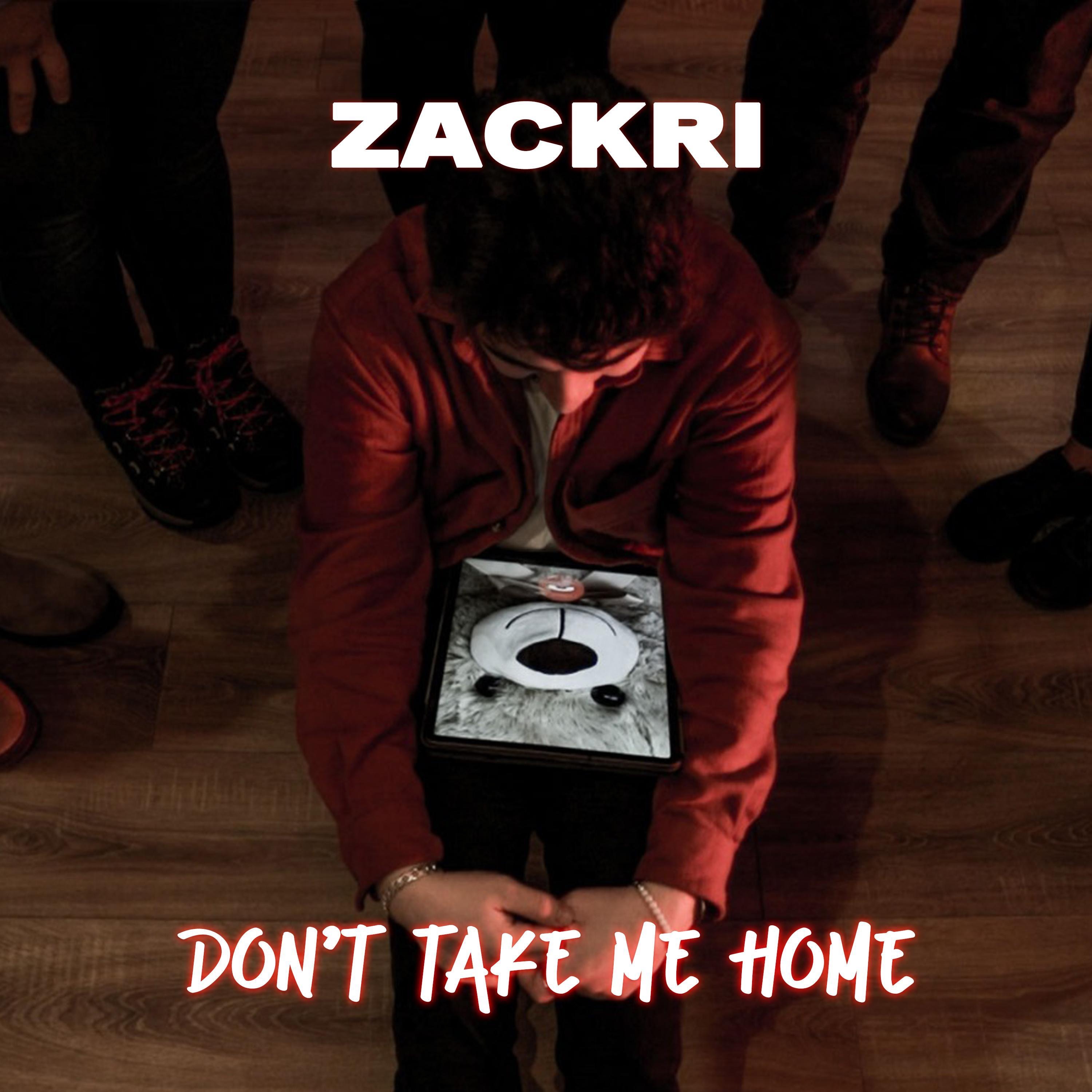 Don't Take Me Home - Single