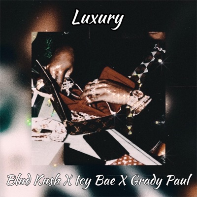 Luxury (feat. Icy Bae) - Single