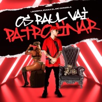 Os Raul Vai Patrocinar - Single - LeoZera, Iraqui Zl & MC Donzela
