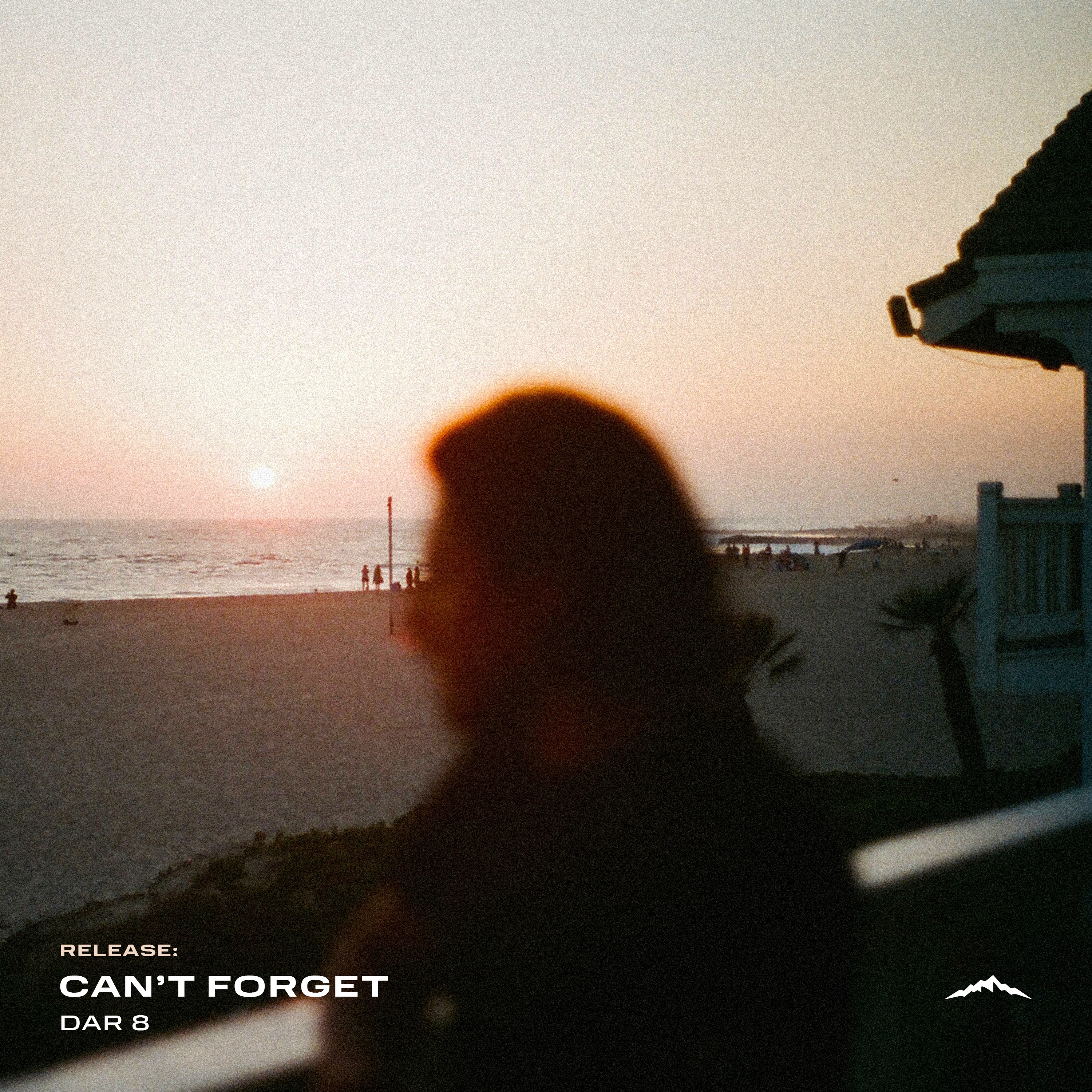 Can't Forget - Single