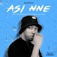 Asi Nne (feat. Captain Zeii SA, Badd Chris & Ras-Vital) - Single - Misterwiz