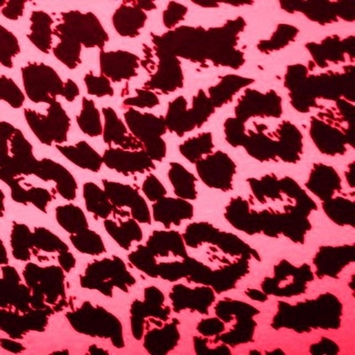 cheetah print
