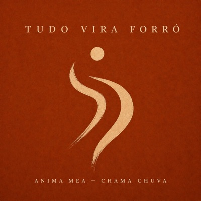 Tudo Vira Forró (feat. Chama Chuva) - Single