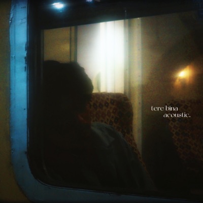 tere bina (acoustic) - Single