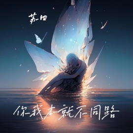 你我本就不同路 (伴奏版) Si Su