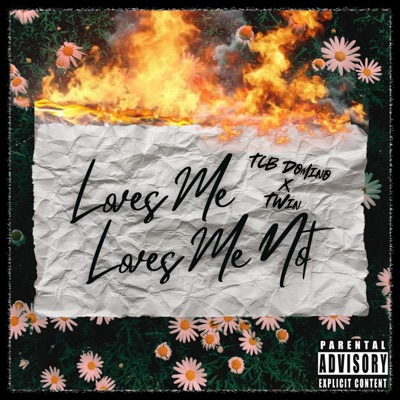 Loves Me Loves Me Not (feat. Twin) - Single