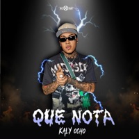 Que nota (feat. Kaly Ocho) - Single - Los ultimos en caer
