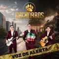 Haz un milagro en mi