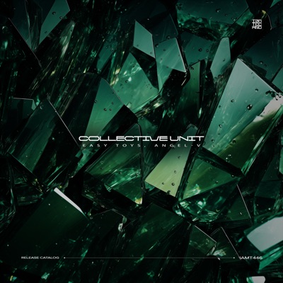 Collective Unit - Single