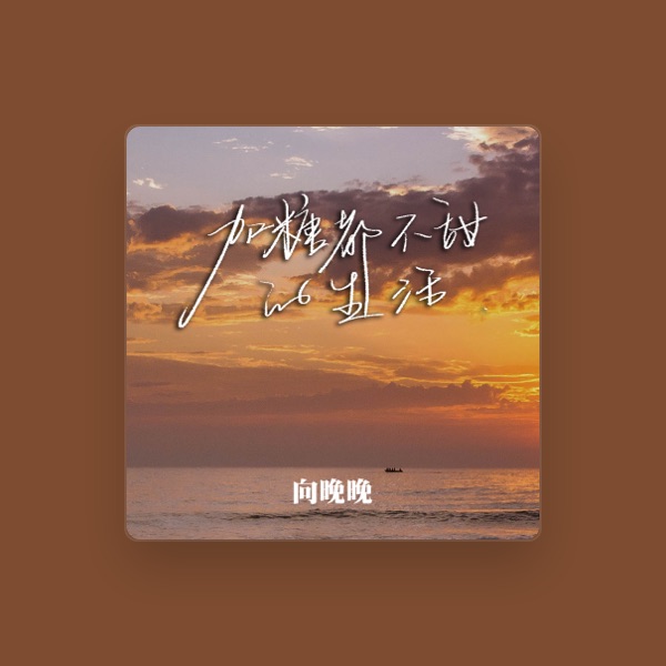 向晚晚's avatar