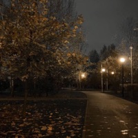 Lonely - Single - Vxid